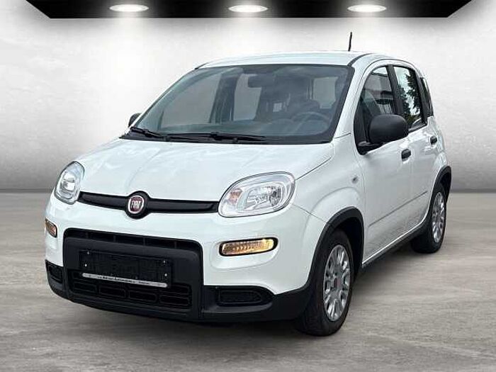 Fiat Panda Base auch in Blau u. Schwarz