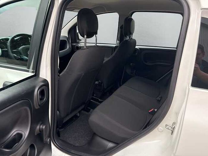 Fiat Panda Base auch in Blau u. Schwarz