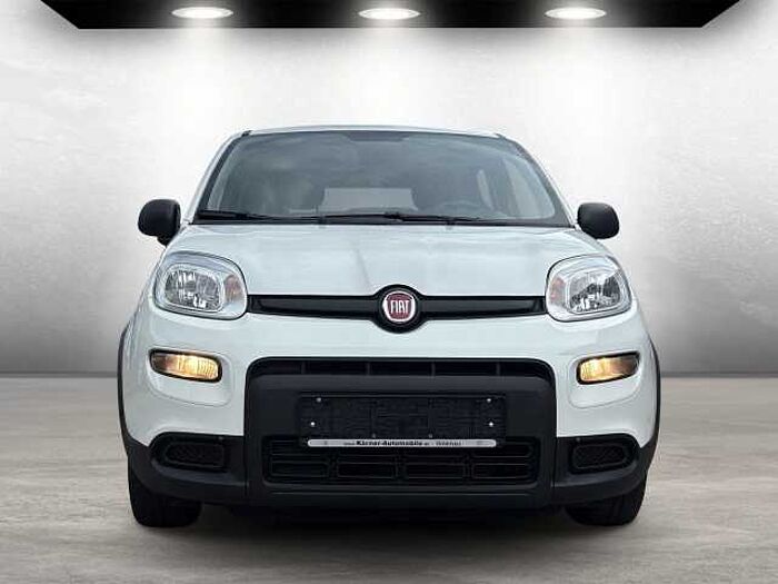 Fiat Panda Base auch in Blau u. Schwarz