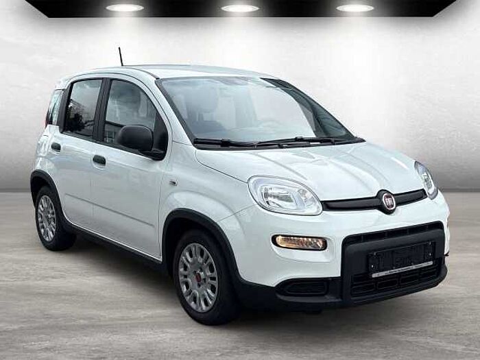 Fiat Panda Base auch in Blau u. Schwarz