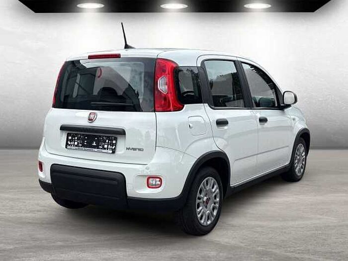 Fiat Panda Base auch in Blau u. Schwarz