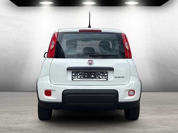 Fiat Panda Base auch in Blau u. Schwarz