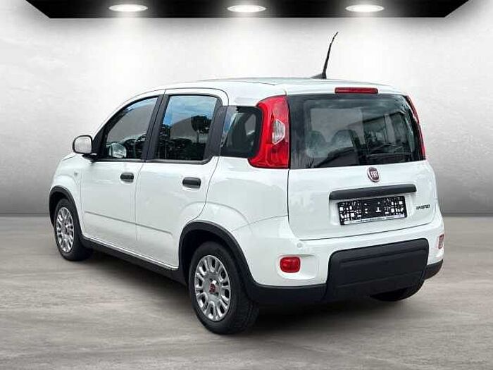 Fiat Panda Base auch in Blau u. Schwarz