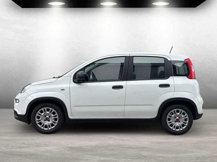 Fiat Panda Base auch in Blau u. Schwarz