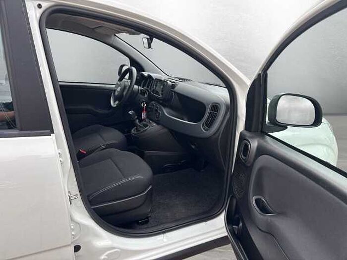 Fiat Panda Base auch in Blau u. Schwarz